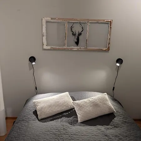 Lovely In With Sauna Rovaniemi