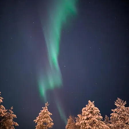 Lovely In With Sauna Villa