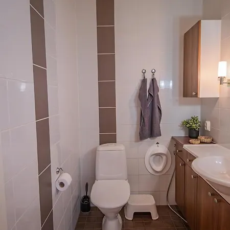 Lovely In With Sauna Casa vacanze Rovaniemi