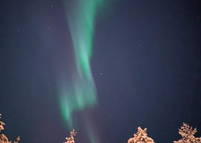 Lovely In With Sauna וילה